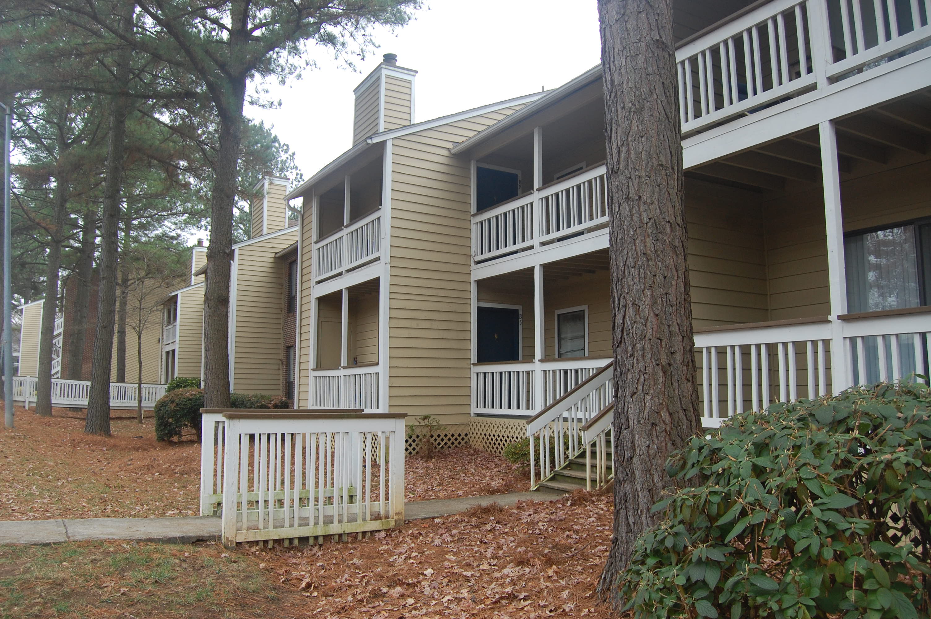 Cary Brook