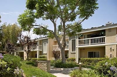 Aliso