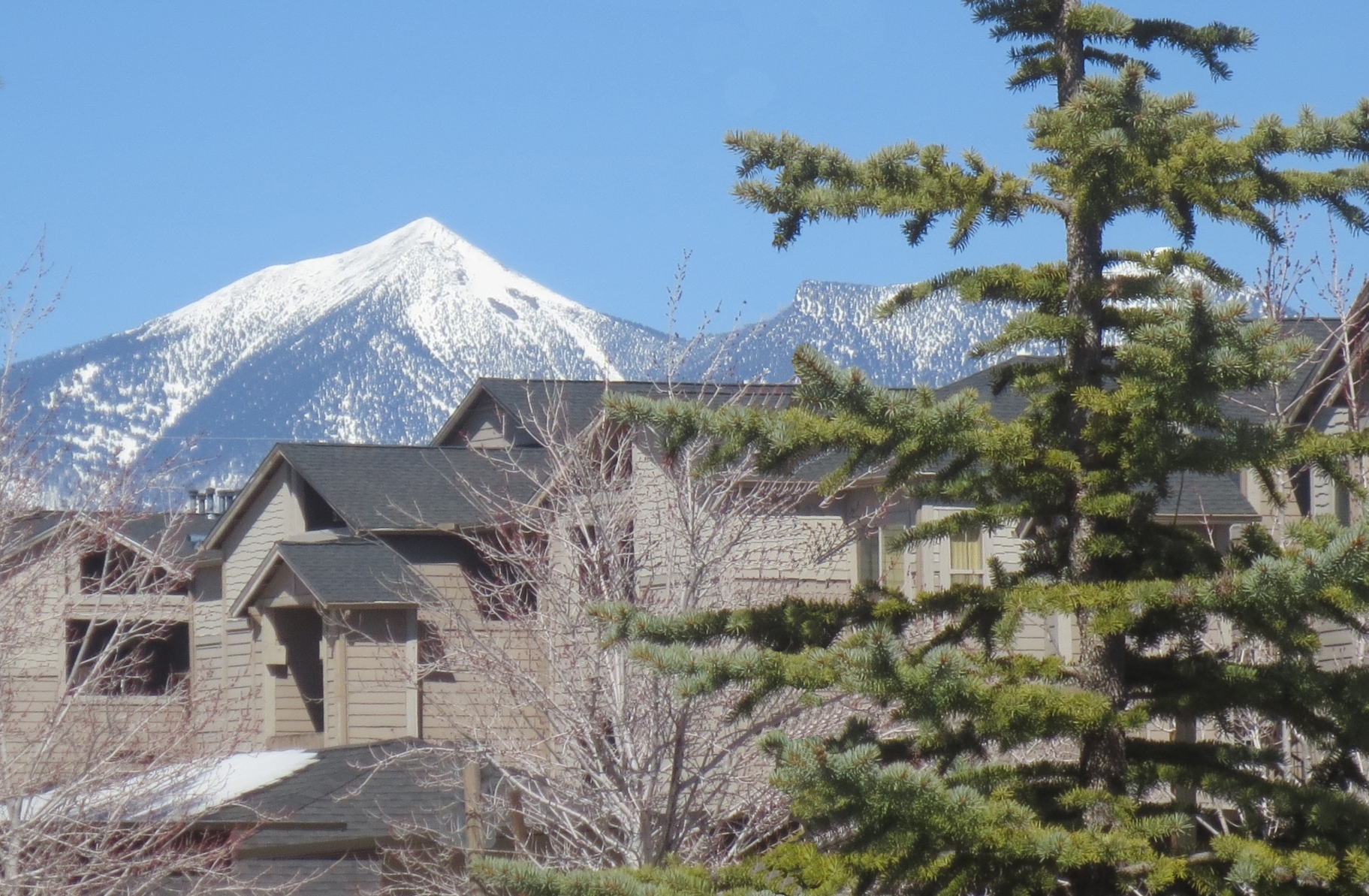 The Lodge Apartments