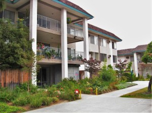 Miracle Terrace Apartments