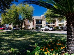 Oaks of Ashford Apartments, Houston, Texas
