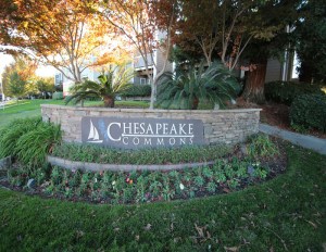 Chesapeake Commons