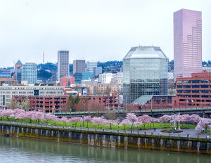 Portland Matrix Report Photo by Ahorica iStockphoto.com