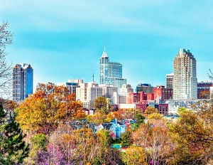 Image by Mark Howard/iStockphoto.com