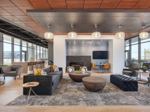 Amenity Space Aspire: The property includes amenities such as a pub lounge, fitness center, work from home spaces and game room.