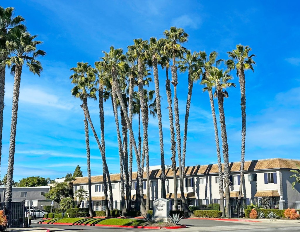 Regency Palms. Image courtesy of The Mogharebi Group