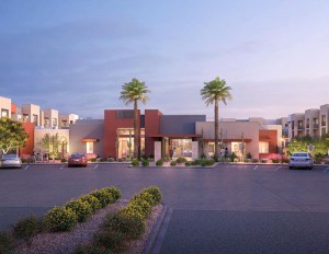 A housing development in Arizona with palm trees in the foreground
