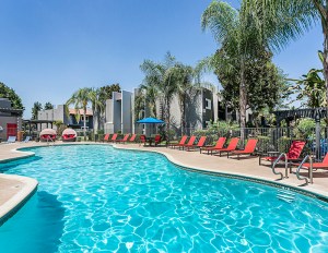 A large pool surrounded by palm tress with apartment buildings in the background