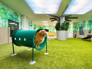 Photographs of amenity spaces are crucial to prospective residents, especially as more people sign apartments without visiting the site first. The Wolff Company, Private Label International, multifamily project in Falls Church, Va., Three Collective. Image courtesy of Private Label International.