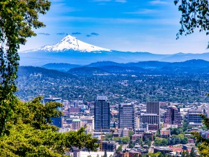 Aerial view of Portland.