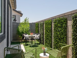 Typical backyard of a single-family rental community branded The Bungalows