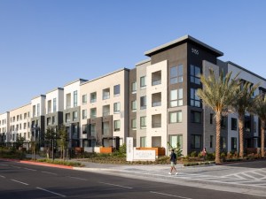 The Square Cypress, in Orange County CA
