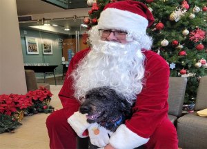 Santa holding a black dog at a Santa with pets holiday event at a Pillar Properties apartment community.