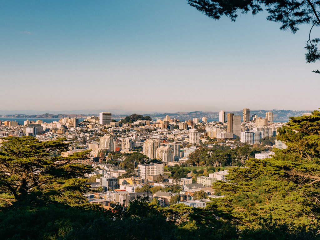 Elevated View of Pacific Heights in San Francisco, California, from Buena Vista Park