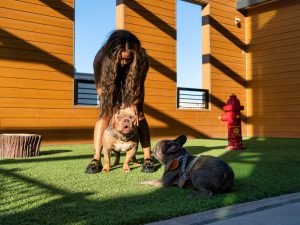 dog park at Uptown 550