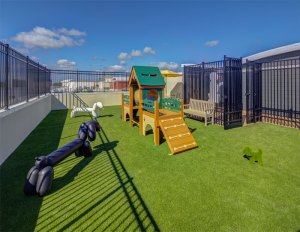 Rooftop dog park at Pinnacle on 31st Street in Virginia Beach, Va., that shows playground equipment for the dogs, a bench for humans and artificial turf on the ground.