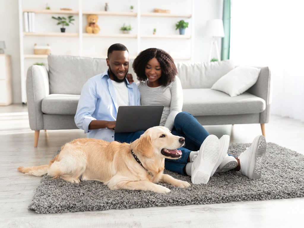 Domestic Life Concept. Portrait of happy loving black family sitting on rug floor carpet with dog, using computer and watching movie, browsing internet, spending time together, selective focus on pet