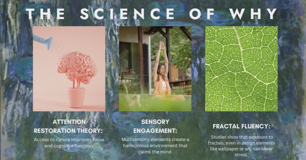 A slide showing different biophilic design inspirations and their effects