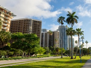 Scenic walking path through a lush tropical park surrounded by palm trees and modern skyscrapers in Coconut Grove, Miami. A peaceful urban retreat combining tropical greenery with city living.