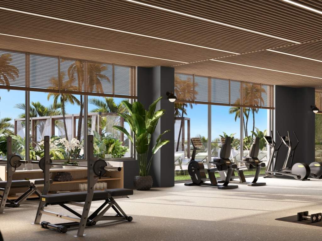 PALMA gym rendering