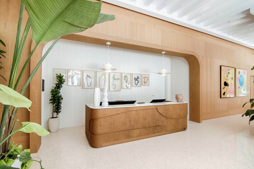 Reception area featuring a large green plant beside a wooden desk, creating a welcoming atmosphere for visitors.