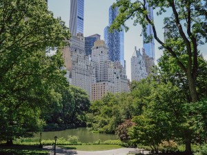 New York City, USA – June 16, 2026: Central Park Pond framed by green trees and Midtown Manhattan skyscrapers.