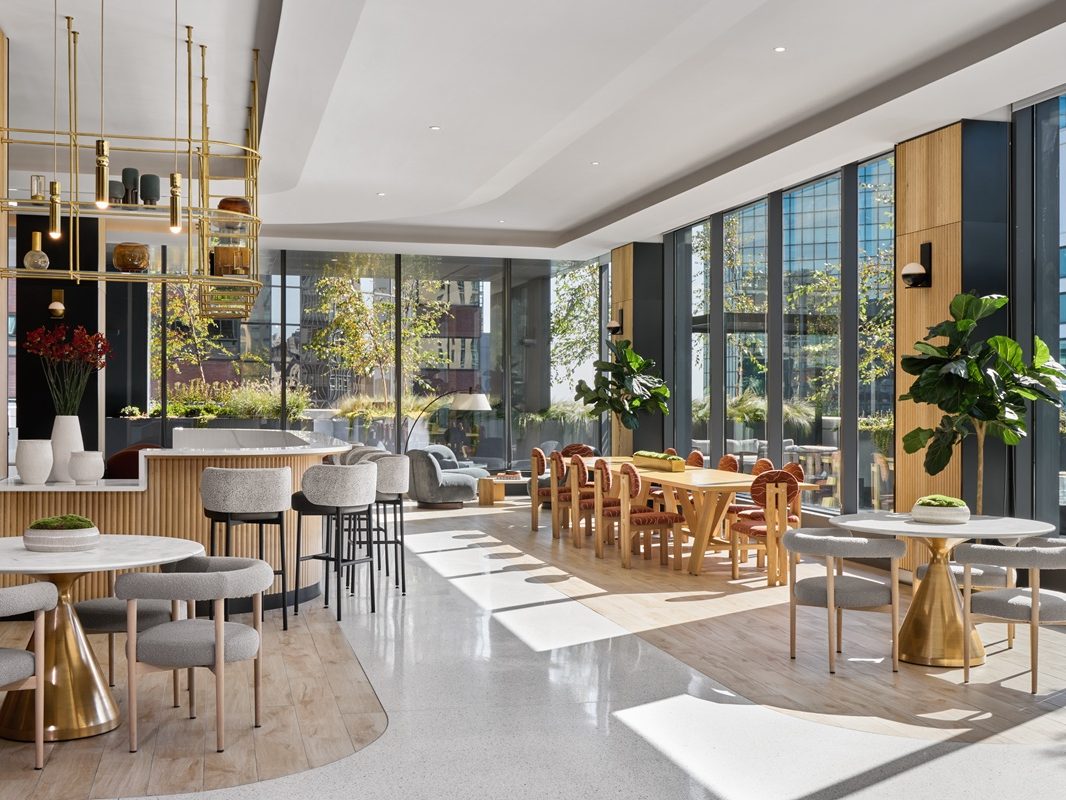 Shared lounge area at Pearl House.